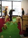 Thumbs/tn_IMG_4196.jpg